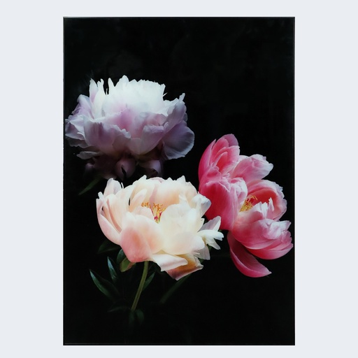 1325060-12